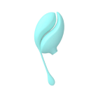 du viename klitorinis stimuliatorius plius vibratorius